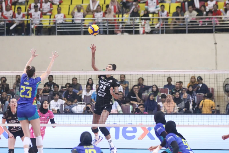Saatnya Proliga Berbenah: Mengapa Tim Pemerintah Harus Lebih Profesional - SpiritKita.id